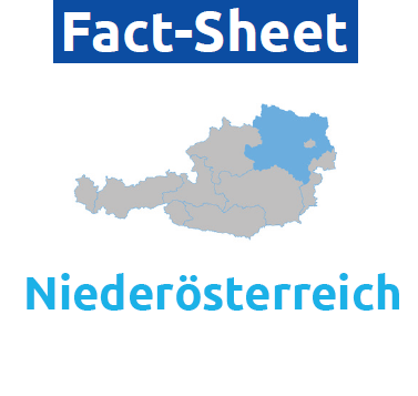 FS_NOE_thumb_370px.png